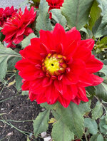 IMG_0889.jpeg IMG_0889.jpeg