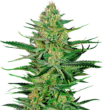 1760864642584.png 1760864642584.png