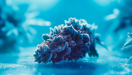 1761041375017.png 1761041375017.png