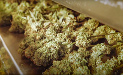 1761041457536.png 1761041457536.png