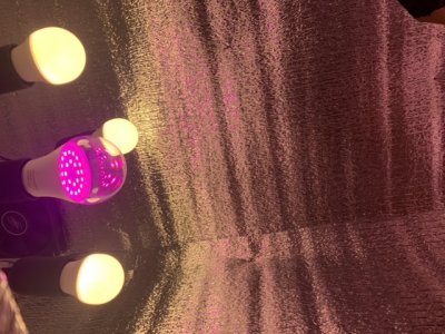 436074E4-DFD0-44AD-92B1-9F21B19E572B.jpeg 436074E4-DFD0-44AD-92B1-9F21B19E572B.jpeg