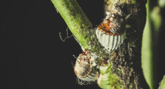 1652445436719.png 1652445436719.png