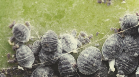 1652445521910.png 1652445521910.png