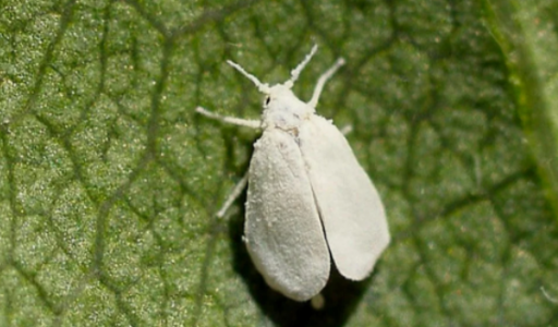 1652550750986.png 1652550750986.png