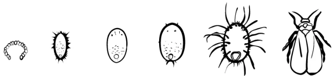 1652550838135.png 1652550838135.png