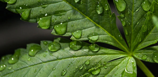 1652550891504.png 1652550891504.png