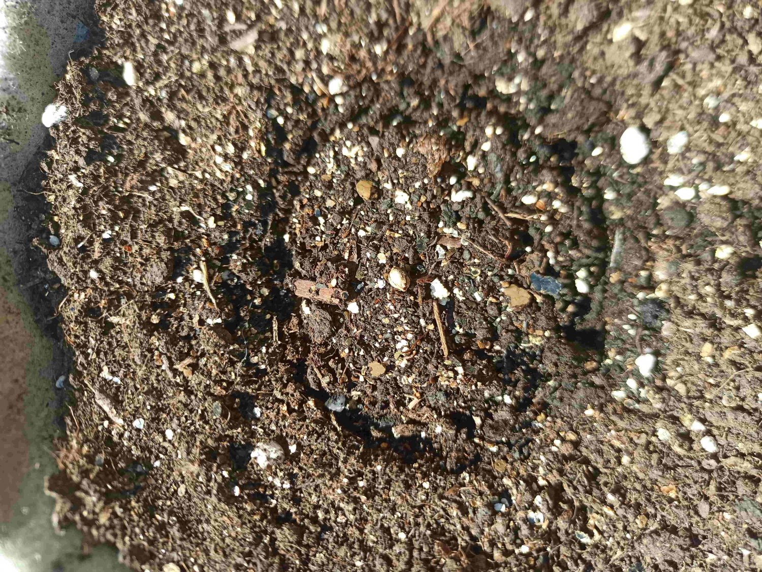 IMG_20220512_110233 (1).jpg