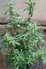 3333333333.jpg 3333333333.jpg