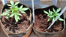 444444444.jpg 444444444.jpg