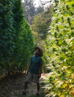 1761133651925.png 1761133651925.png