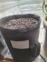 IMG_20251025_160205.jpg IMG_20251025_160205.jpg