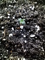 IMG_20251026_124432.jpg IMG_20251026_124432.jpg