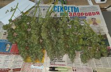 20251025_195647.jpg 20251025_195647.jpg