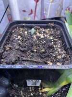 IMG_1312.jpeg IMG_1312.jpeg