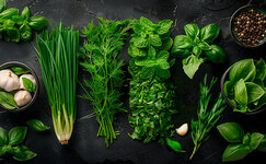 Zelen__owRdXHTKkEmaFojj.jpg Zelen__owRdXHTKkEmaFojj.jpg