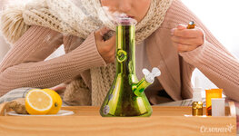 perezaliv-stoit-li-ispolzovat-konoplyu-pri-prostude-ili-grippe__l8WTMKV9P4dFgy4o.jpg perezaliv-stoit-li-ispolzovat-konoplyu-pri-prostude-ili-grippe__l8WTMKV9P4dFgy4o.jpg