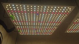 df9c586f-1fb3-4fca-a9cb-a726a09b866c.jpg df9c586f-1fb3-4fca-a9cb-a726a09b866c.jpg