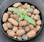 Day 9 (10.11).jpg Day 9 (10.11).jpg