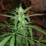 22222222222.jpg 22222222222.jpg