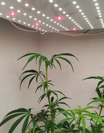 ТОП.jpg ТОП.jpg