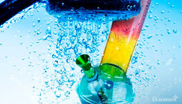 kak-chasto-nuzhno-menyat-vodu-v-bonge__iXcq6uySNbMrzCsT.jpg kak-chasto-nuzhno-menyat-vodu-v-bonge__iXcq6uySNbMrzCsT.jpg