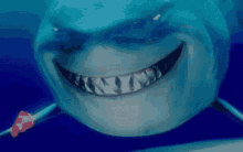 finding-nemo-marlin.gif
