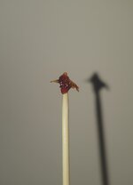 20251128_161658.jpg 20251128_161658.jpg