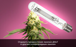 Vyberite-podhodyashchij-istochnik-sveta__lVbTTC1Esvsi1NiH.jpg Vyberite-podhodyashchij-istochnik-sveta__lVbTTC1Esvsi1NiH.jpg