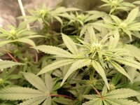 photo_2025-12-02_20-09-42 (3).jpg