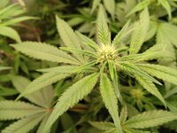 photo_2025-12-02_20-09-42 (4).jpg