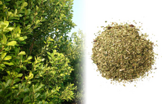 1764746425617.png 1764746425617.png