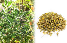 1764746496397.png 1764746496397.png