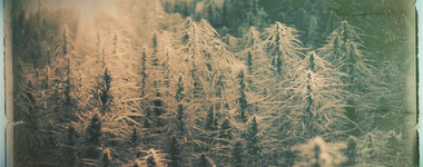 1764963084424.png 1764963084424.png