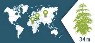 1764963121569.png 1764963121569.png