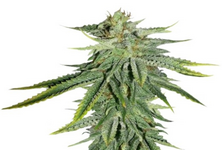 1764963591111.png 1764963591111.png