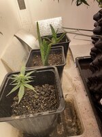 IMG_1848.jpeg IMG_1848.jpeg