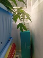 30 дн (3).jpg 30 дн (3).jpg