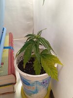 32 дн (2).jpg 32 дн (2).jpg