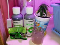 35 дн (3).jpg 35 дн (3).jpg