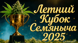 1765207398450.png 1765207398450.png