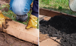 1765349208985.png 1765349208985.png