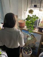 IMG_1887.jpeg IMG_1887.jpeg