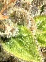 IMG_2508.jpg IMG_2508.jpg