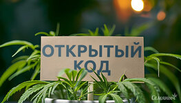 selekciya-s-otkrytym-kodom__M02gfPrQMLYrtK8l.jpg selekciya-s-otkrytym-kodom__M02gfPrQMLYrtK8l.jpg