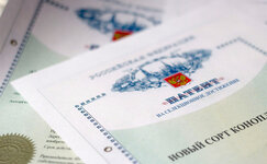 patentirovanie-selekcii__knboM1DiUn8iRHhf.jpg patentirovanie-selekcii__knboM1DiUn8iRHhf.jpg