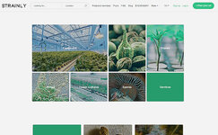 strainly__95brMiUKGsnROd5f.jpg strainly__95brMiUKGsnROd5f.jpg