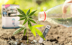 plyusy-ispolzovaniya-obratnogo-osmosa-dlya-vyrashchivaniya-konopli__eavfJPalbngyyoNL.jpg plyusy-ispolzovaniya-obratnogo-osmosa-dlya-vyrashchivaniya-konopli__eavfJPalbngyyoNL.jpg