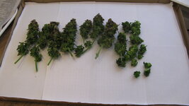 IMG_7502.JPG IMG_7502.JPG