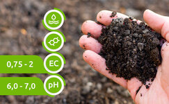 kakuyu-pochvu-ispolzovat-pri-vyrashchivanii-konopli-v-otkrytom-grunte__JsIJs3pjof149RY4.jpg kakuyu-pochvu-ispolzovat-pri-vyrashchivanii-konopli-v-otkrytom-grunte__JsIJs3pjof149RY4.jpg