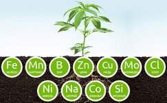 mikroehlementy__yobnFY68BsduhuJT.jpg mikroehlementy__yobnFY68BsduhuJT.jpg